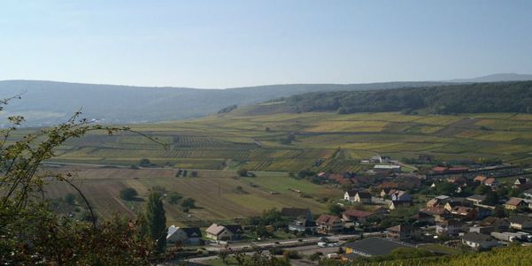 A photo of Alsace Wine Route Tour to Colmar, Equisheim and Riquewihr