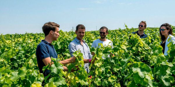 A photo of Full-Day Champagne Tour with Lunch from Reims