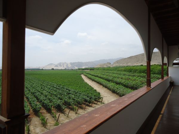 A photo of 8-Day Peru Wine and Culture Adventure Trip