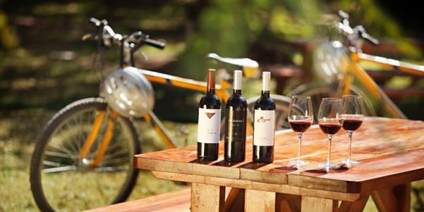 A photo of Full-Day Mendoza Bike and Wine Tour with 3 Winery Visits and Lunch