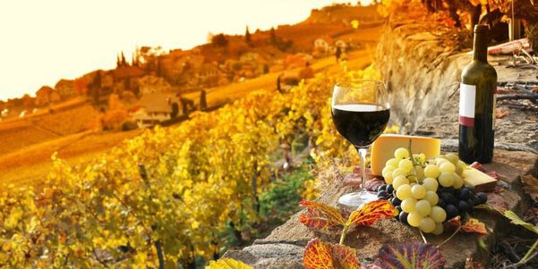 A photo of Full-Day Chianti and Super Tuscan Wine Tour