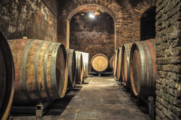 A photo of Full-Day Priorat Wine Tour With Tastings from Barcelona