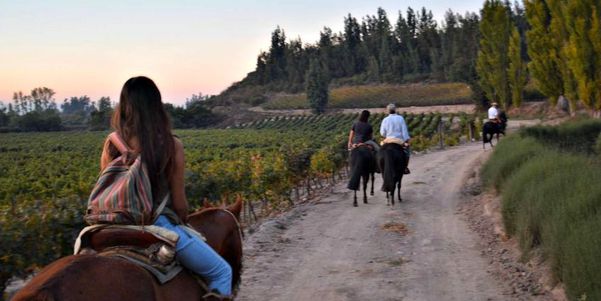 A photo of Full-Day Private Maipo Valley Horse Riding and Wine Tour from Santiago