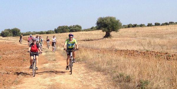 A photo of Extra Virgin Olive Oil and Bike Tour in Puglia