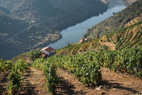 A photo of Private Douro Valley Wine Tour: Visit 3 Wineries with Wine Tastings & Lunch