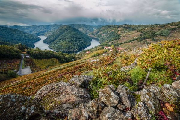 A photo of 4-Day Galicia Wine Regions Private Wine Tour