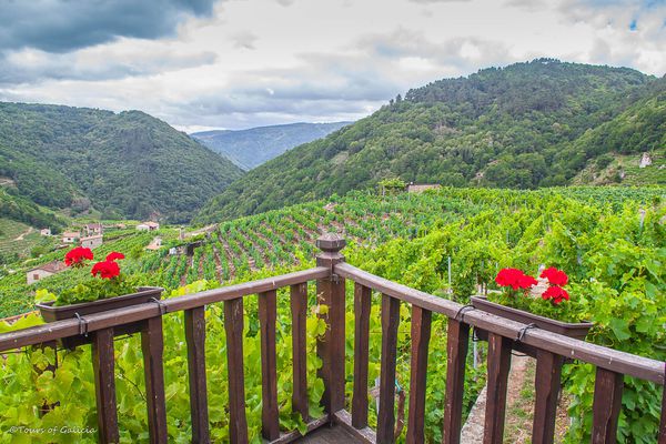 A photo of The Best Wine Route in Spain: 10-Day Discovery