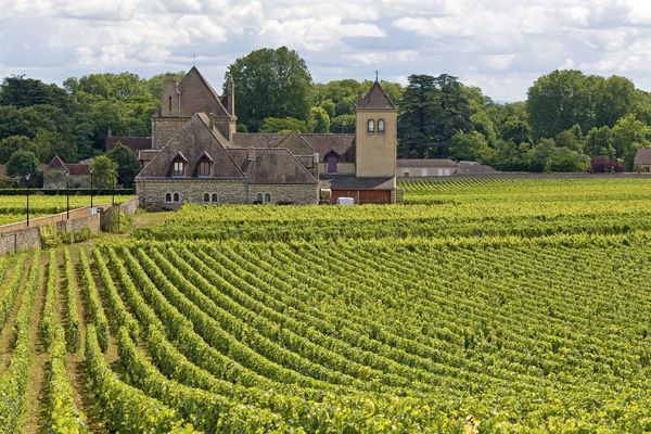 A photo of Full-Day Wine Tour in South Burgundy