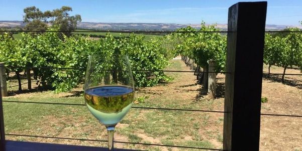 A photo of McLaren Vale Private Wine Tour from Plympton