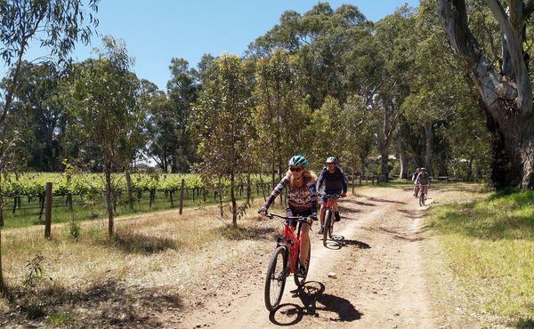 A photo of McLaren Vale Bike and Wine Tour