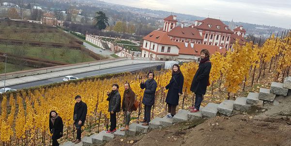 A photo of Half-Day Wine Tour in the City of Prague