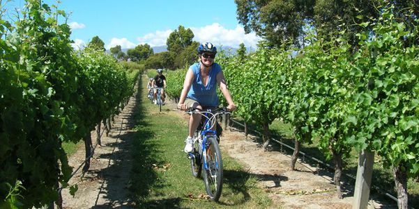 A photo of Full Day Guided Biking Wine Tour in Marlborough