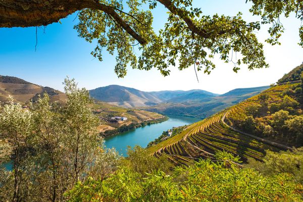 A photo of Douro Valley Full-Day Wine Tour with 3 Wineries and Lunch from Porto