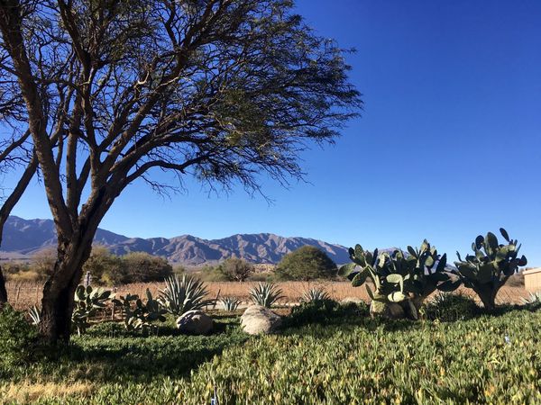 A photo of 2-Day Private Luxury Valles Calchaquies and Colome Wine Tour from Salta