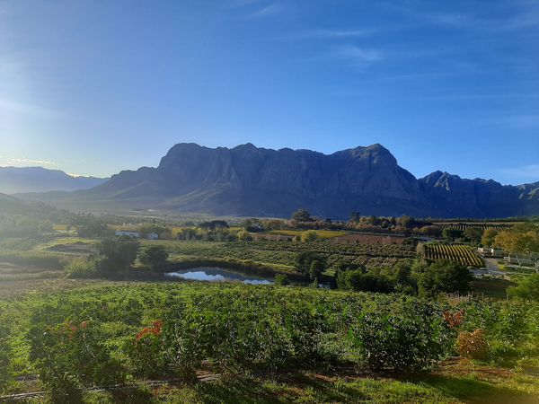 A photo of Private Winelands Wine Tasting Tour