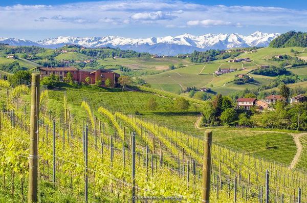 A photo of Trekking and Wine Tasting Tour in Barbaresco, Piedmont