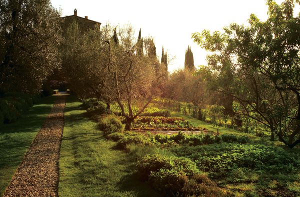 A photo of 2-Nights Gourmet Package at Castello Vicarello in Tuscany