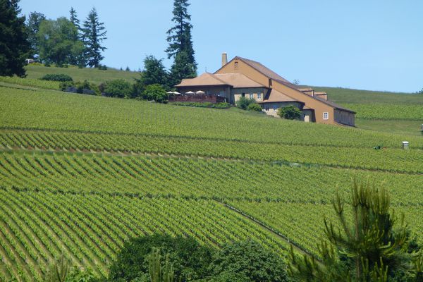 A photo of Private Willamette Valley Wine Tasting Tour from Portland