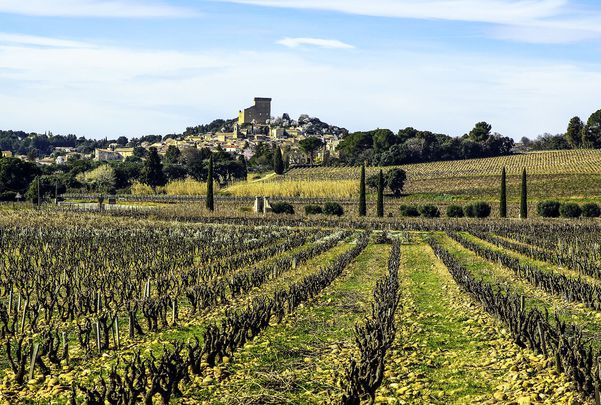 A photo of Full-Day Private Châteauneuf du Pape Tour with Fine Wine Experience