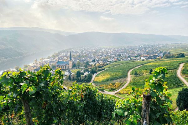 A photo of Mosel