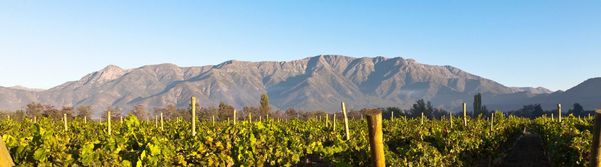 A photo of Maipo Valley